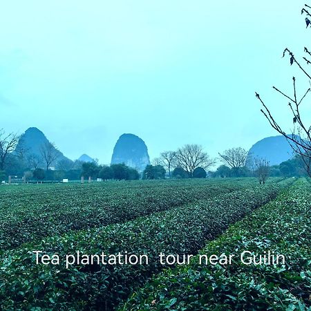 Guilin Village Creek Inn-Free Private Car Pick Up Station Stay 3 Nights Dış mekan fotoğraf