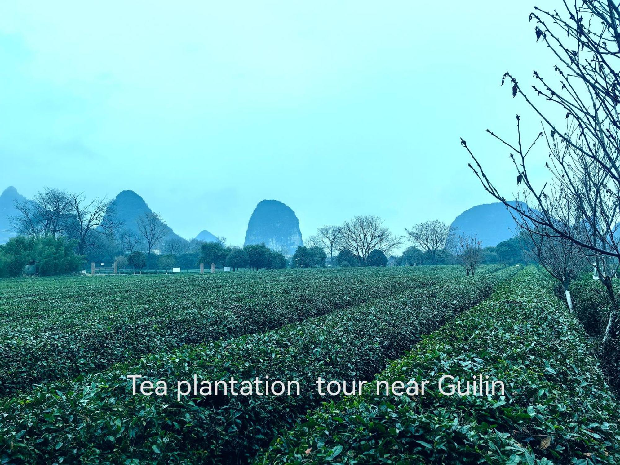 Guilin Village Creek Inn-Free Private Car Pick Up Station Stay 3 Nights Dış mekan fotoğraf