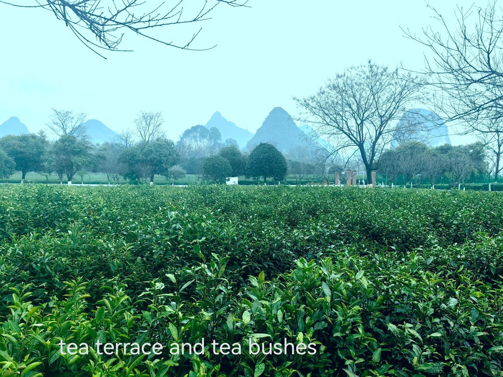 Guilin Village Creek Inn-Free Private Car Pick Up Station Stay 3 Nights Dış mekan fotoğraf